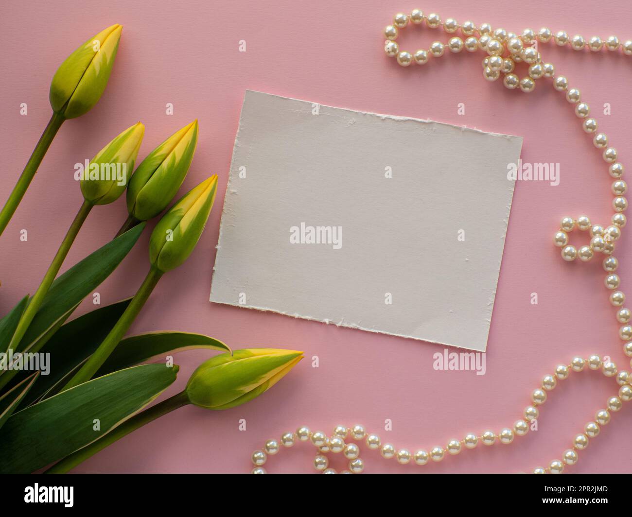 Collana femminile su sfondo rosa con fiori di tulipano e spazio copia. Regalo per donne, San Valentino e la festa della mamma. Concetto di bellezza, eleganza e femminilità Foto Stock