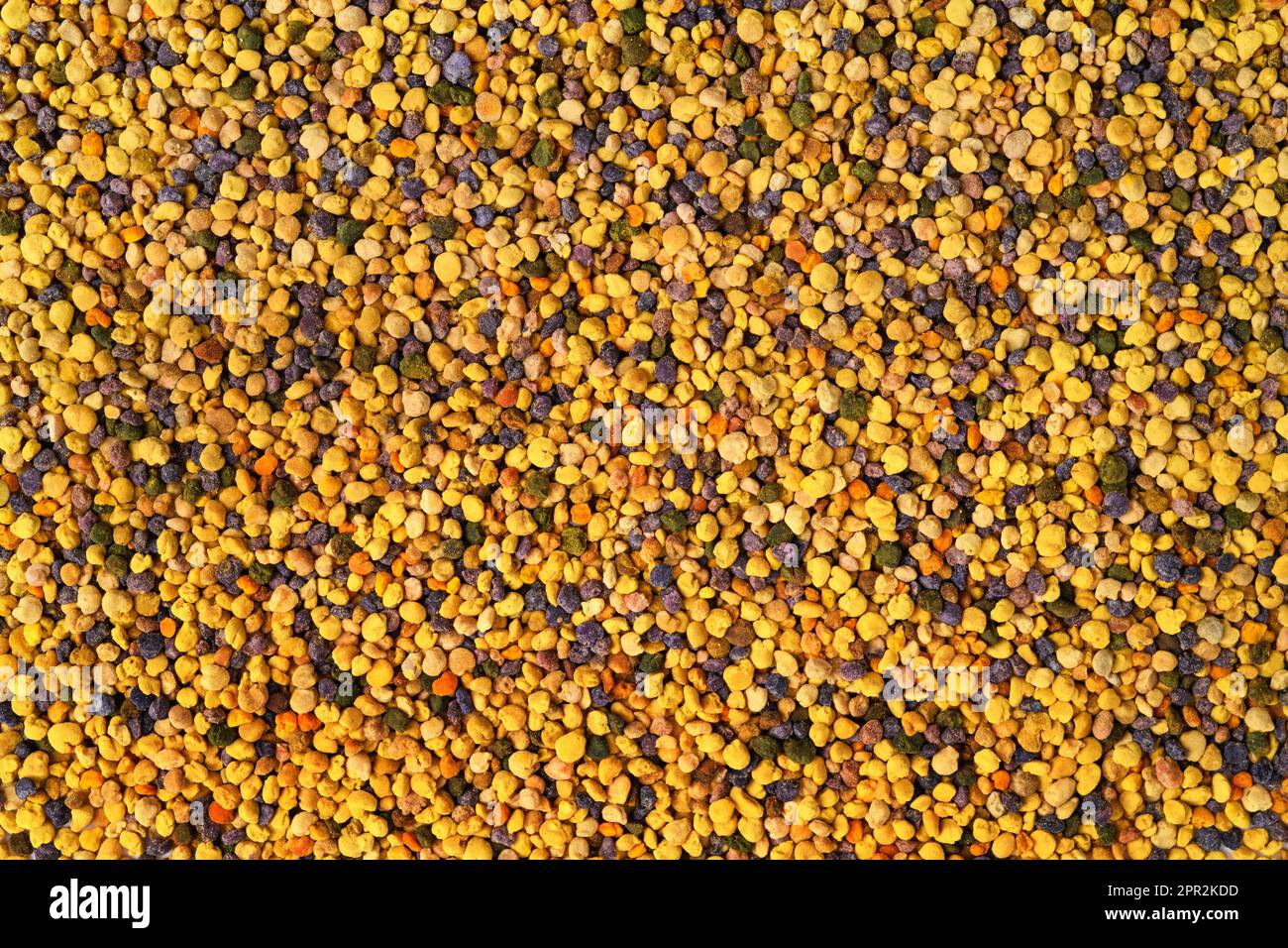 Struttura del polline dell'ape. sfondo del polline Foto Stock