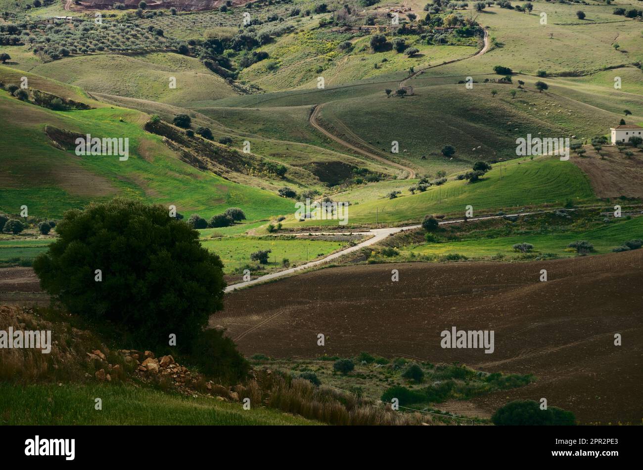 Luce solare e ombra in una valle di campagna siciliana, Italia meridionale Foto Stock