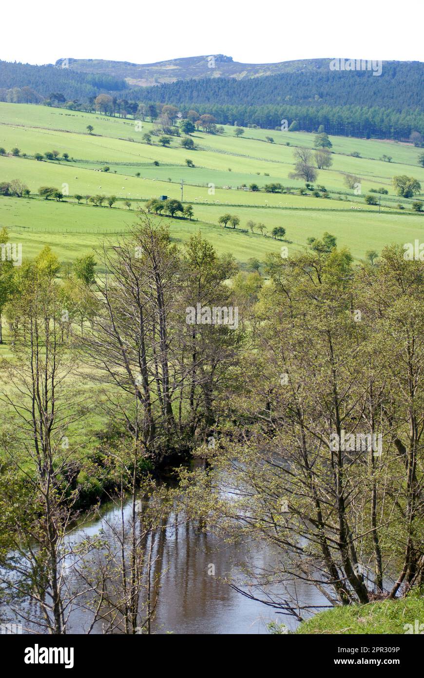 Fiume Coquet con vista sulle colline Simonside, Rothbury, Northumberland Foto Stock