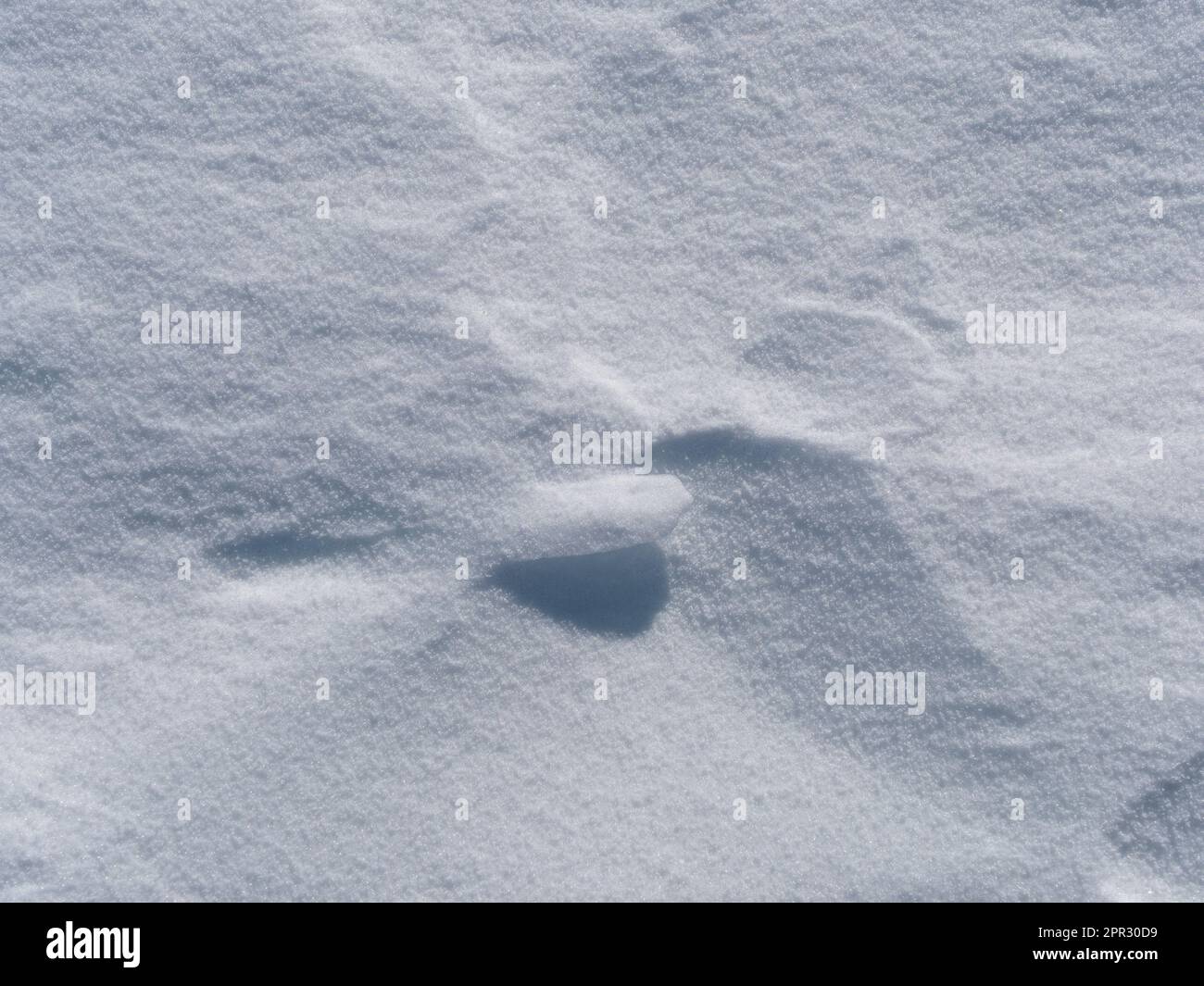 sfondo di neve, sfondo da utilizzare per il design Foto Stock