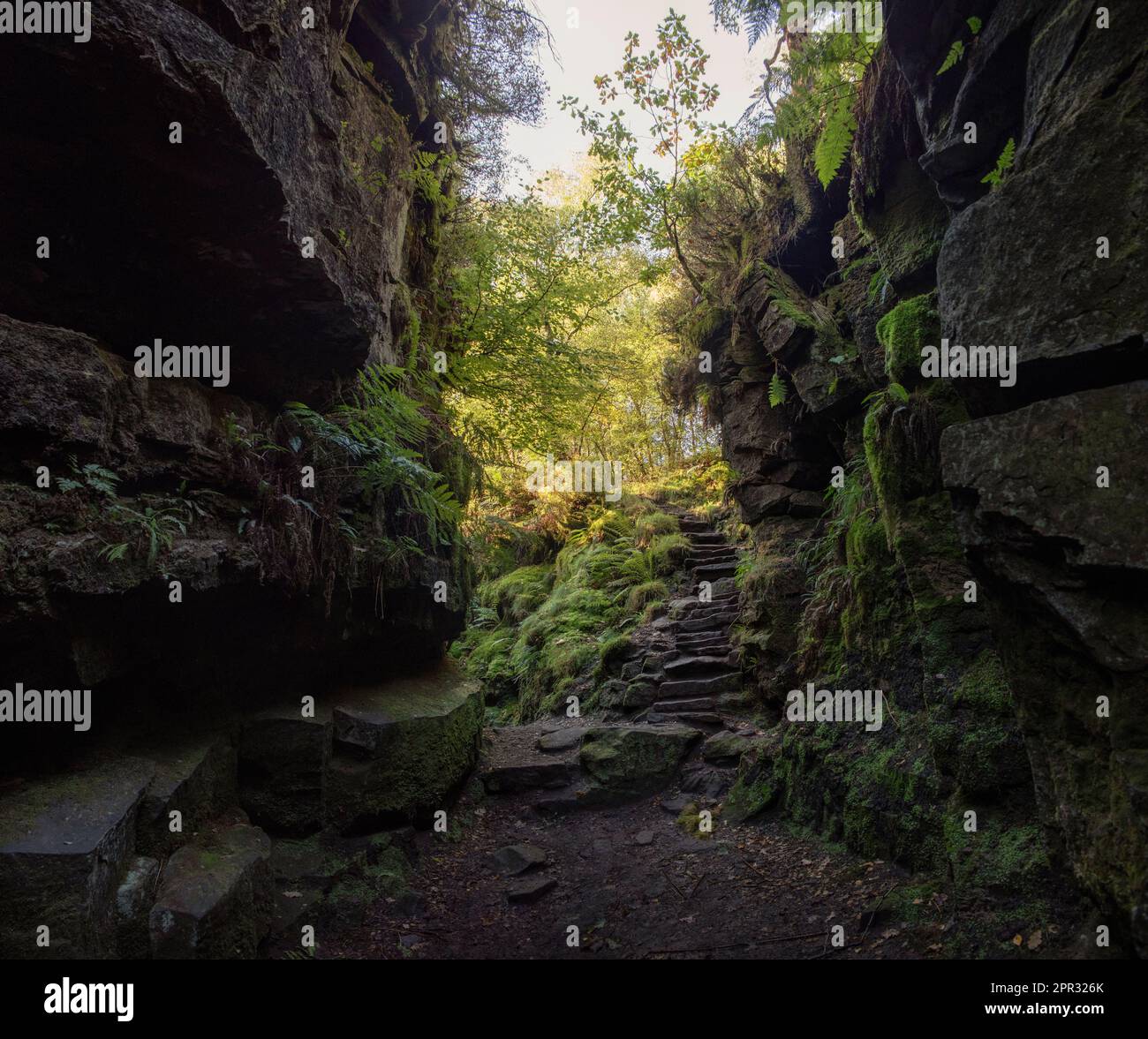 Rocce e piante nella chiesa di Lud, Staffordshire, Inghilterra. Un profondo abisso creato da una massiccia frana, un paesaggio coperto di muschio pieno di storia, miti. Foto Stock