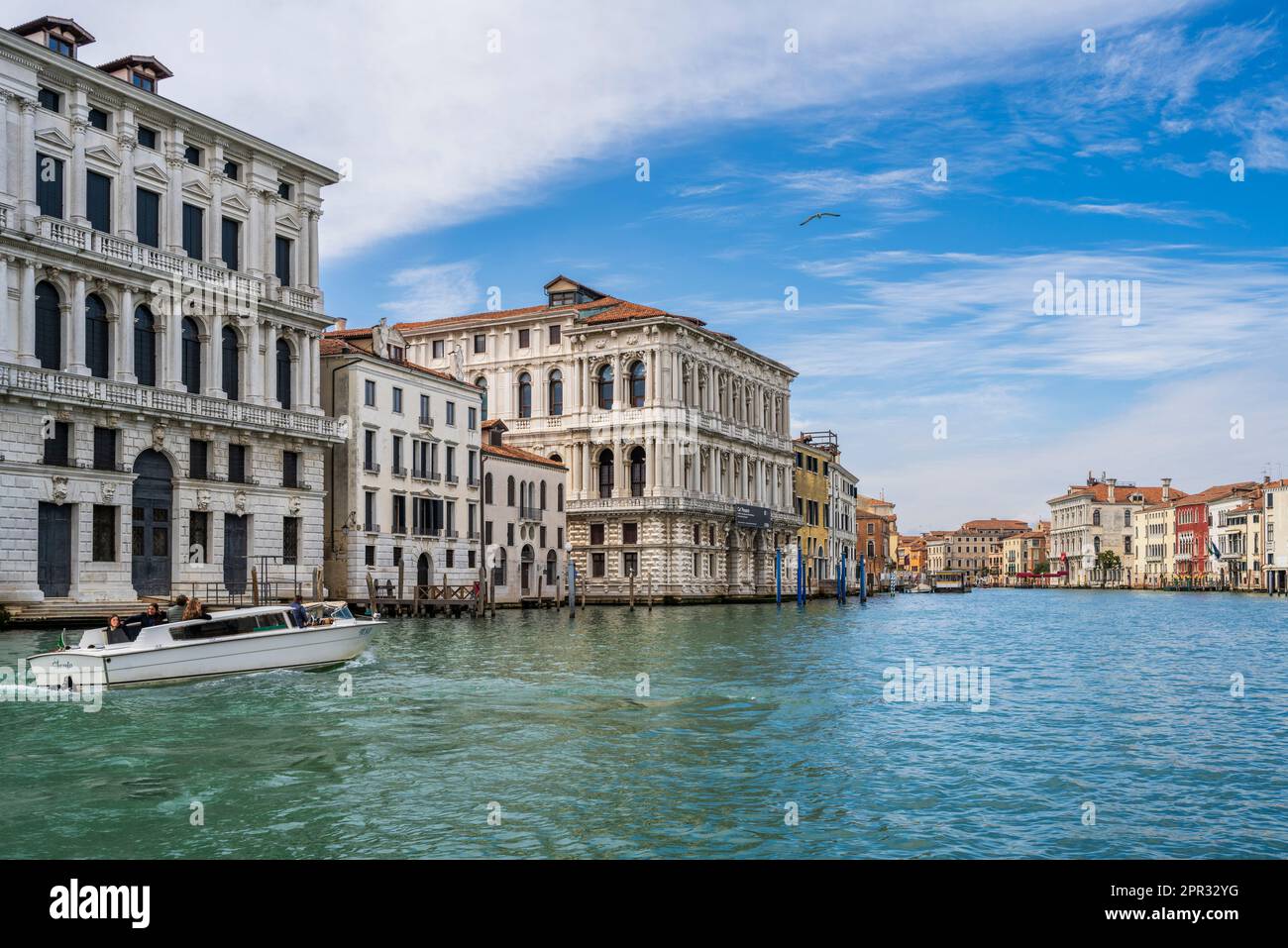 Canal Grande, Venezia, Veneto, Italia Foto Stock