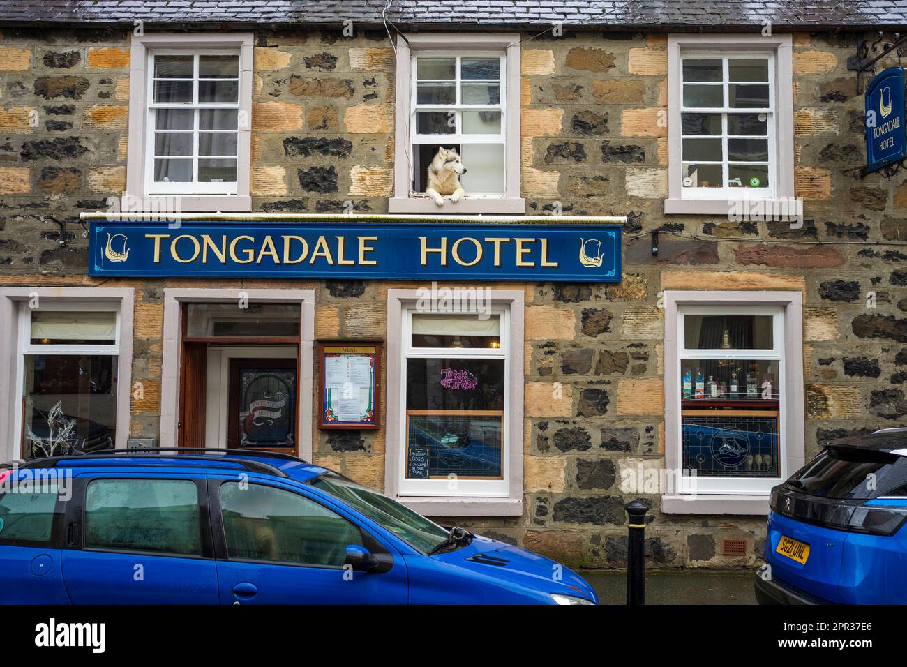 Cane che guarda fuori dalla finestra del Tongadale Hotel, Portree, Isola di Skye: Accogliente fascino delle Highland con vista panoramica sulla città. Foto Stock