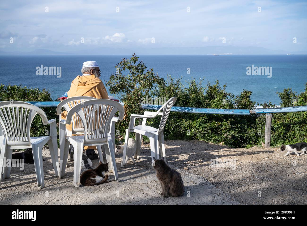 Vecchio musulmano seduto su una terrazza, circondato da gatti, che guarda al mare nello stretto di Gibilterra. Foto Stock