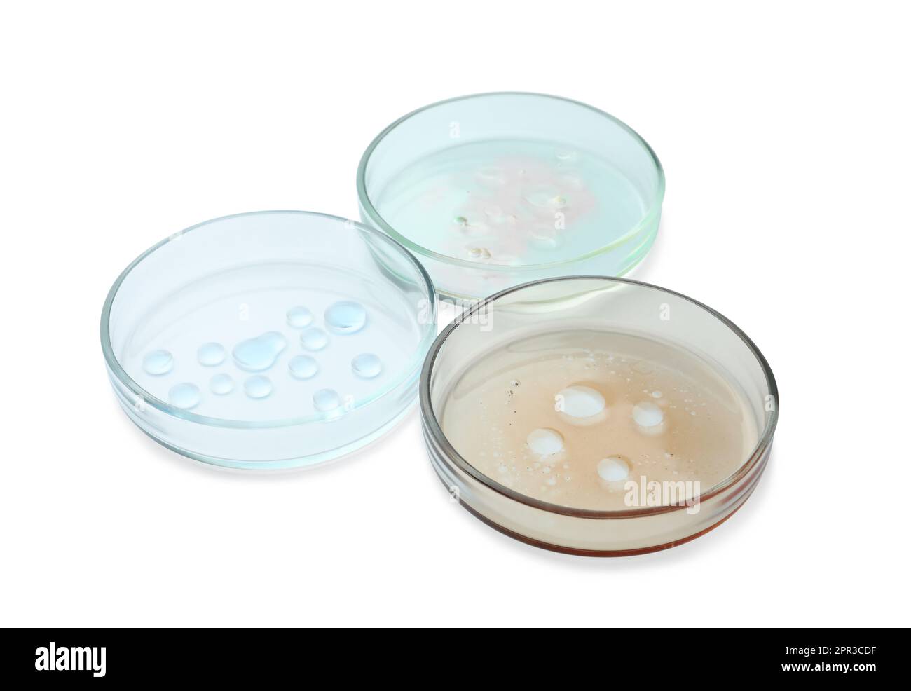 Capsule di Petri con liquidi colorati su fondo bianco Foto Stock