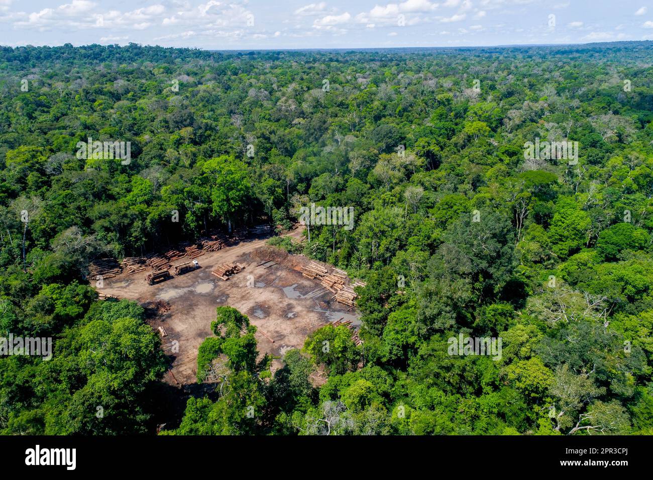 Vista aerea di un deposito di tronchi da un'area autorizzata della foresta pluviale dell'Amazzonia brasiliana. Foto Stock