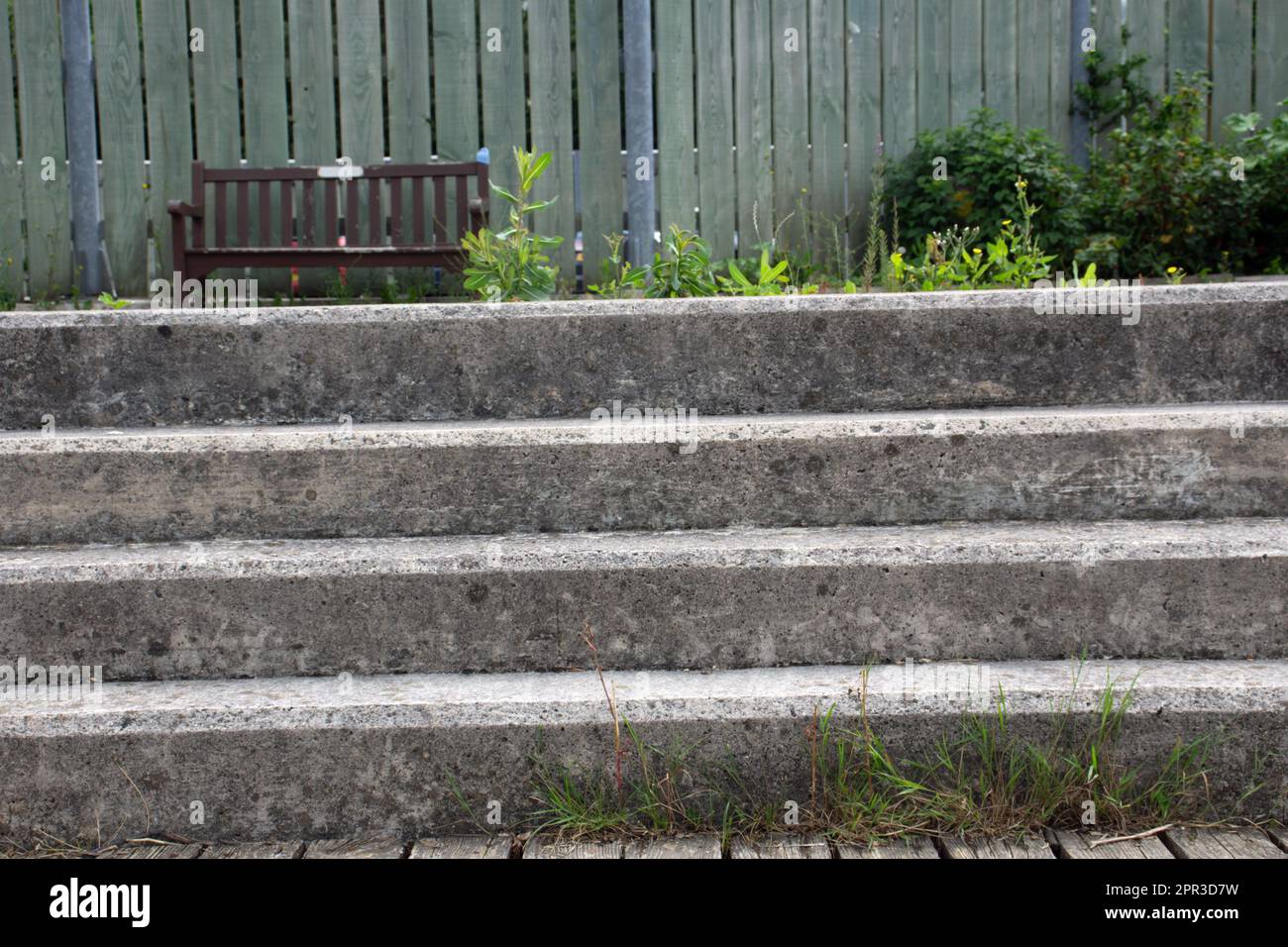 set di quattro gradini di cemento che portano ad una panca di legno con erbacce in crescita Foto Stock