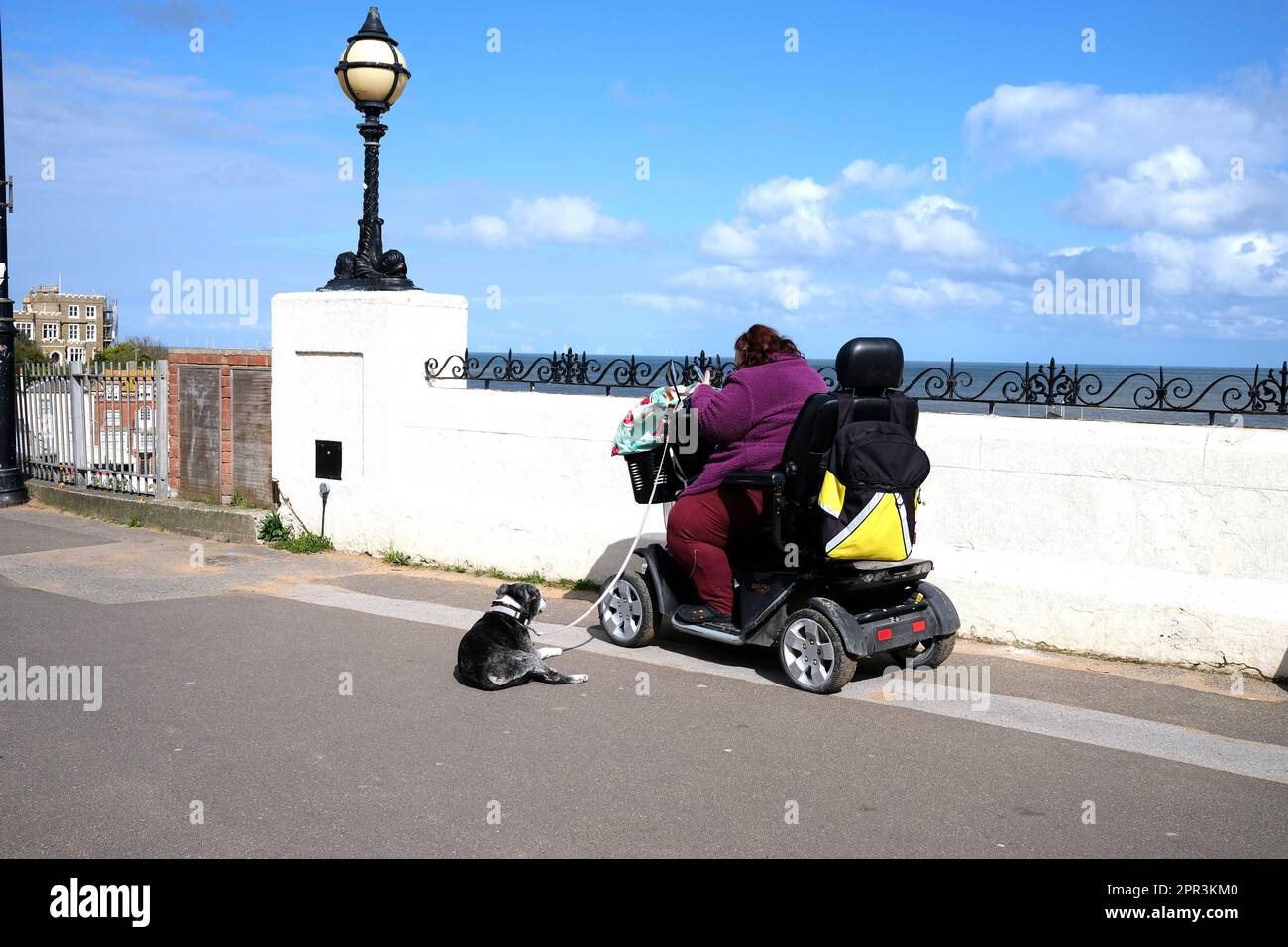 donna in uno scooter per la mobilità con il suo cane da compagnia, broadstairs città sul mare, isola di thanet, kent orientale, regno unito aprile 2023 Foto Stock