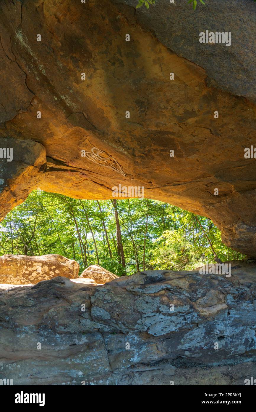 Red River Gorge Geological Area nel Kentucky Foto Stock