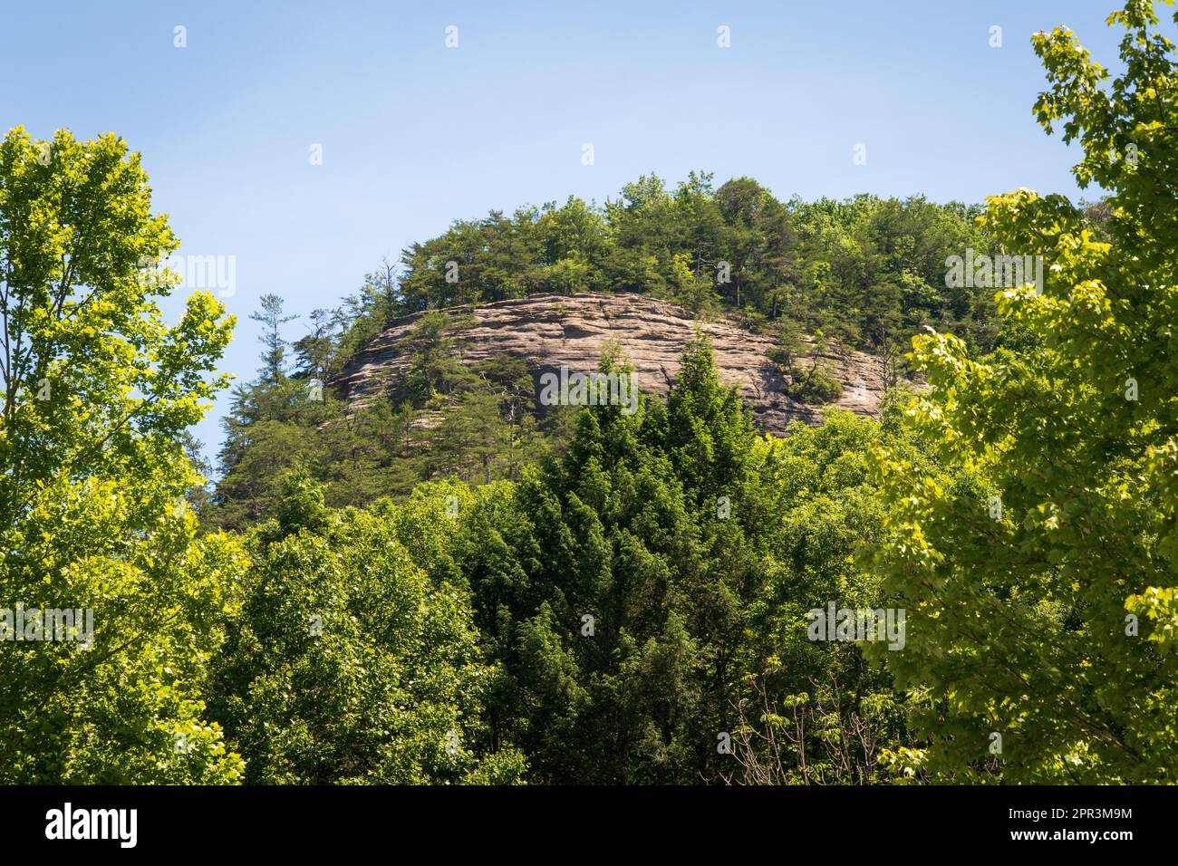 Red River Gorge Geological Area nel Kentucky Foto Stock