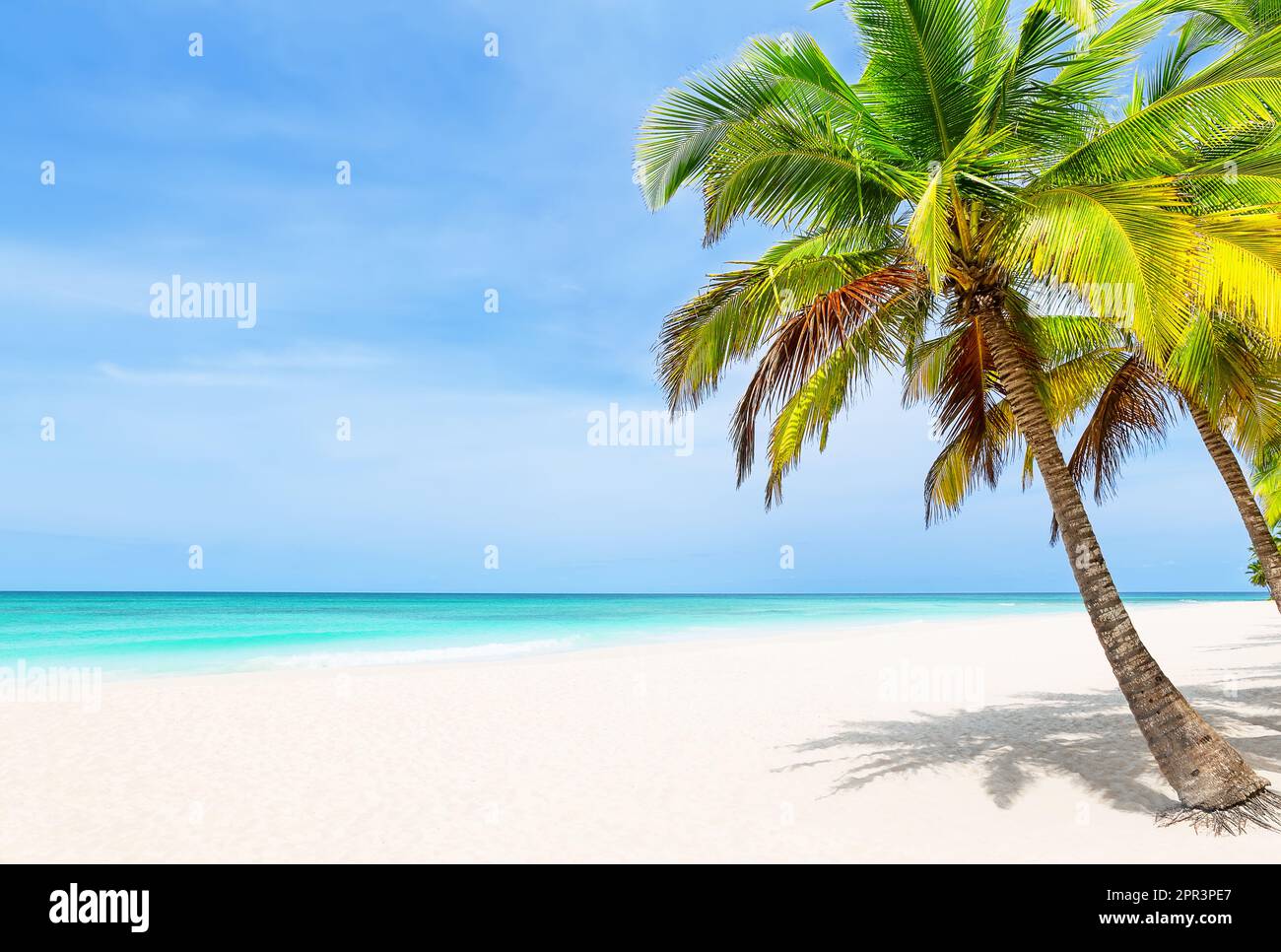 Spiaggia di sabbia bianca tropicale con palme da cocco e acqua blu turchese a Punta Cana, Repubblica Dominicana. Vacanze estive sfondo. Tropico soleggiato Foto Stock