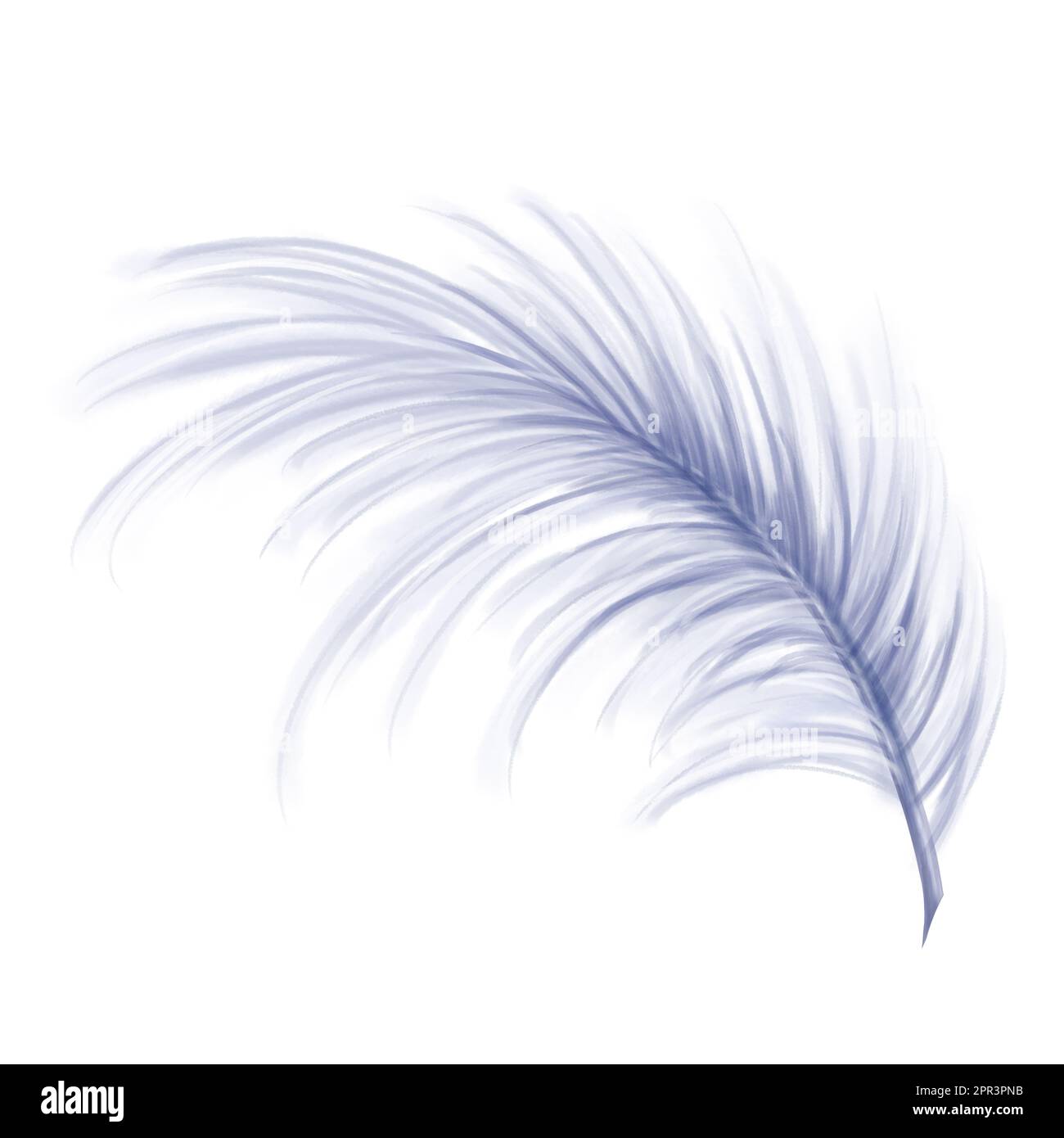 Elegante piuma bluastra di un cigno, oca. Elemento decorativo per costumi teatrali, abiti da carnevale, cappelli, mazzi di fiori e souvenir. Foto Stock Elegante piuma bluastra di un cigno, oca. Elemento decorativo per costumi teatrali, abiti da carnevale, cappelli, mazzi di fiori e souvenir. Foto Stock