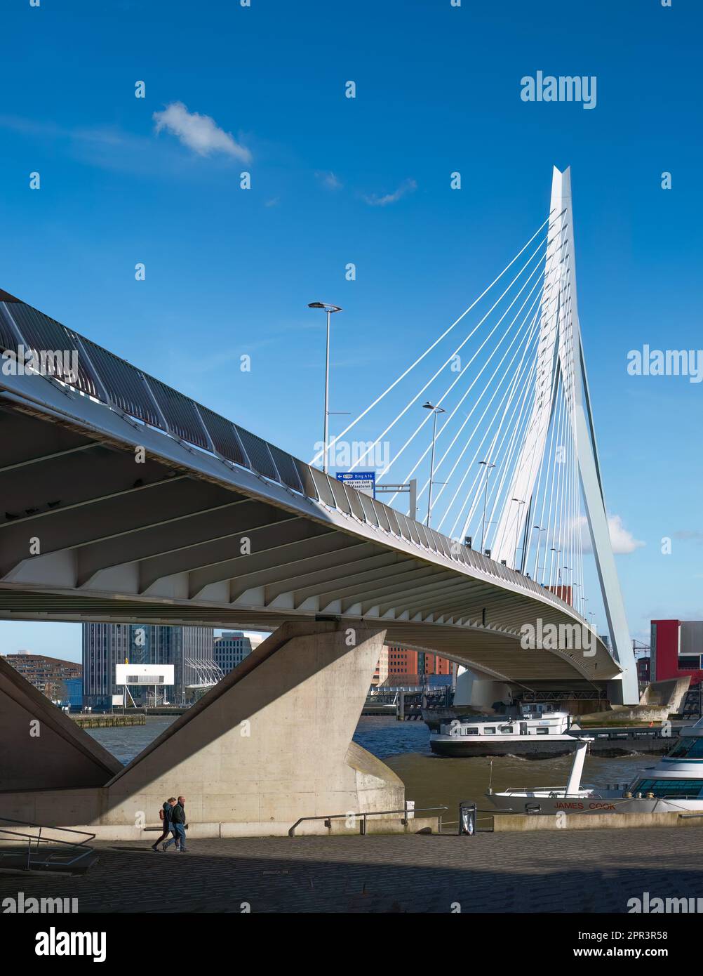 Rotterdam, Paesi Bassi - Ponte Erasmus di ben van Berkel con la Casa di Bridgewatcher a Kop van Zuid di Bolles Wilson sul fiume Maas Foto Stock