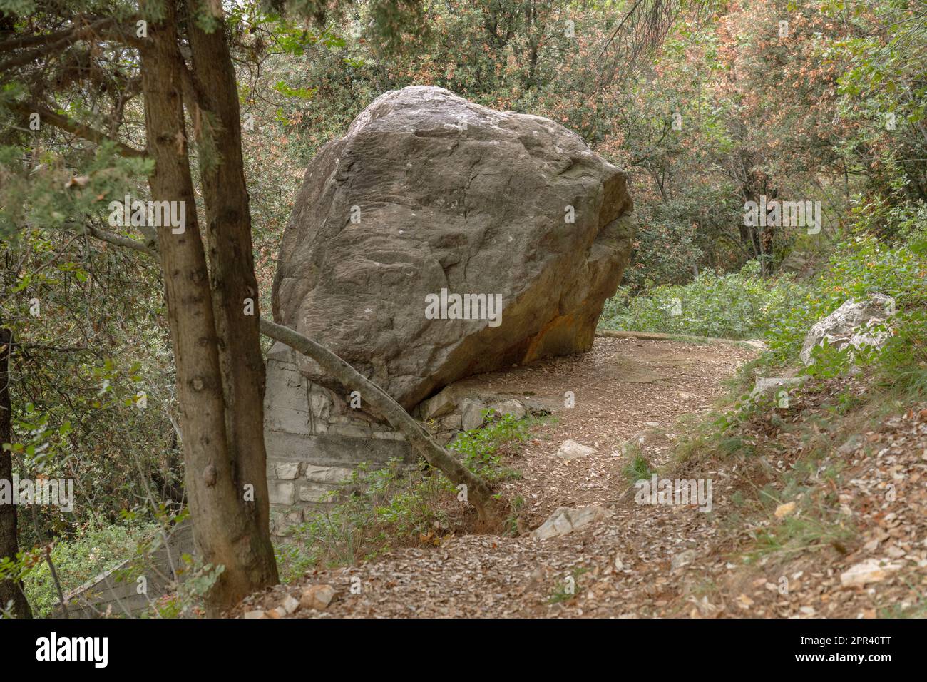 Boulder in un mistico luogo di incontro sulla salita da Sulzano a Monte Rodondone, Italia, Lombardia, Brescia, Sulzano Foto Stock
