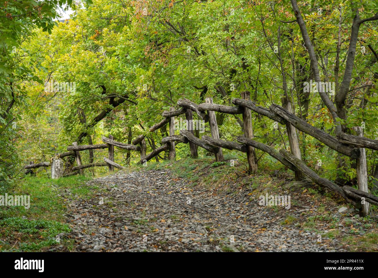 Sentiero e recinzione in legno naturale in tronchi d'albero, Italia, Lombardia, Riva di Solto Foto Stock