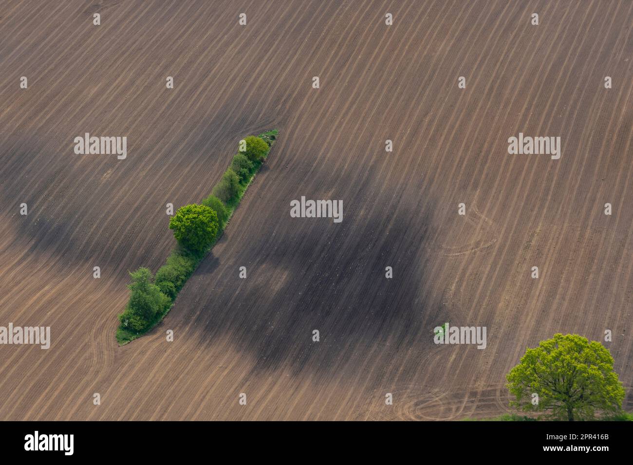 Isola verde in campagna marrone, vista aerea, Germania, Schleswig-Holstein Foto Stock