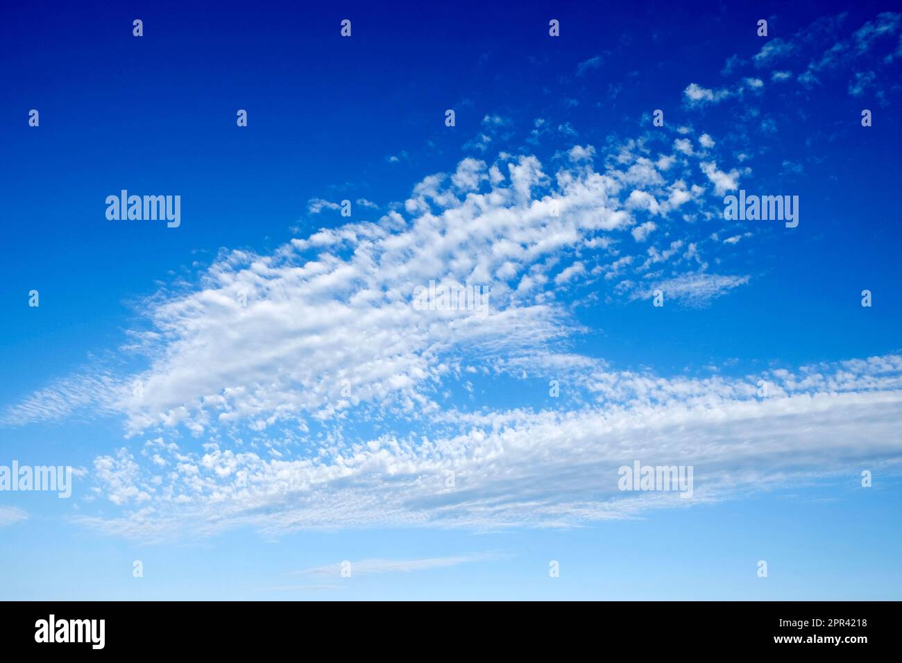 Nuvola di cirrocumuli in alto in un cielo blu in una serata estiva sopra il Carmarthenshire Wales UK KATHY DEWITT Foto Stock