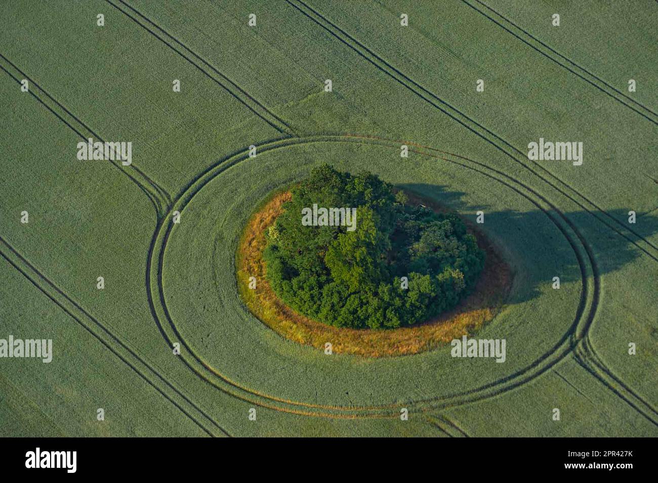 bollitore in campo paesaggio, vista aerea, Germania, Meclemburgo-Pomerania occidentale Foto Stock