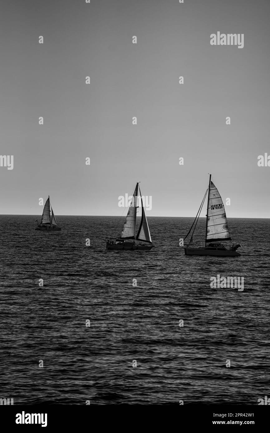 Una vista monocromatica di diverse barche a vela che navigano sulle calme acque dell'oceano Foto Stock