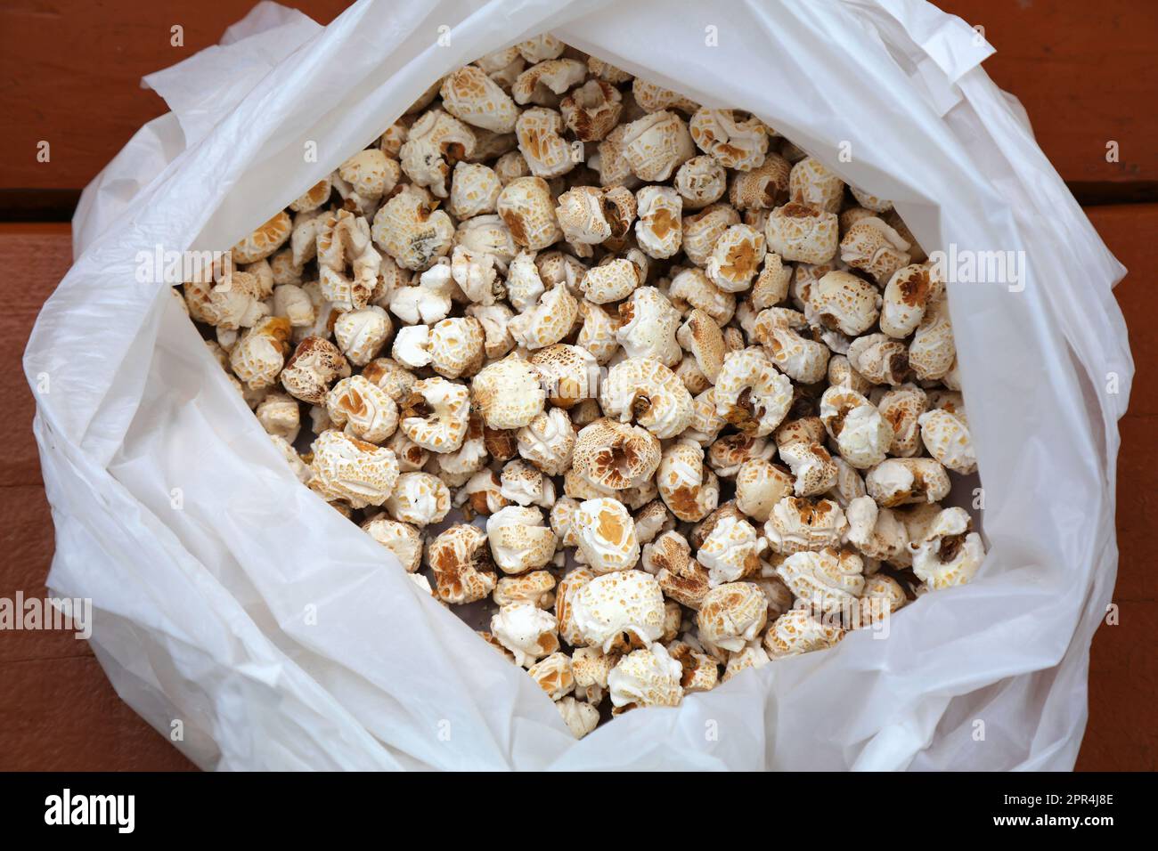 Popcorn coreano in un sacchetto. I chicchi di popcorn di stile coreano sono noti anche come popcorn di funghi. Foto Stock