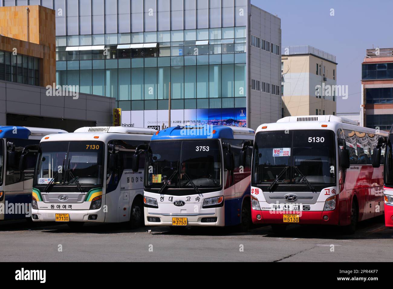 BUSAN, COREA DEL SUD - 31 MARZO 2023: Autobus al terminal degli autobus di Seobu nel quartiere di Sasang di Busan. Foto Stock