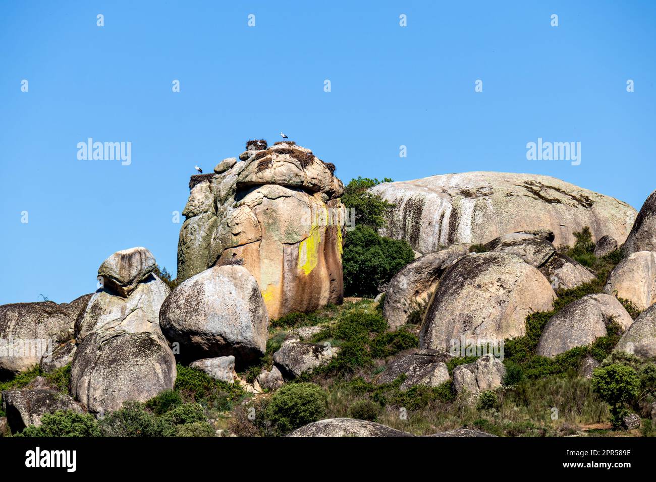 Monumento Naturale Los Barruecos, paisaje espectacular dominado por grandes peñascos graníticos. Varias cigüeñas anidan encima. Malpartida de Cáceres Foto Stock
