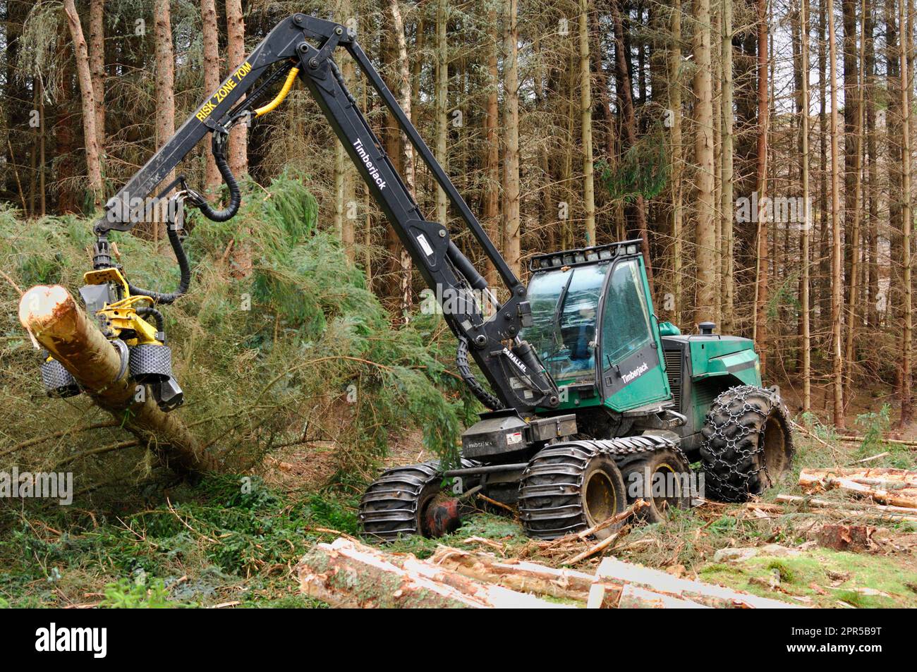 Macchina per la raccolta del legname abbattimento e lavorazione degli alberi di abete sitka in una piantagione forestale commerciale, Inverness-shire, Scozia, agosto 2007 Foto Stock