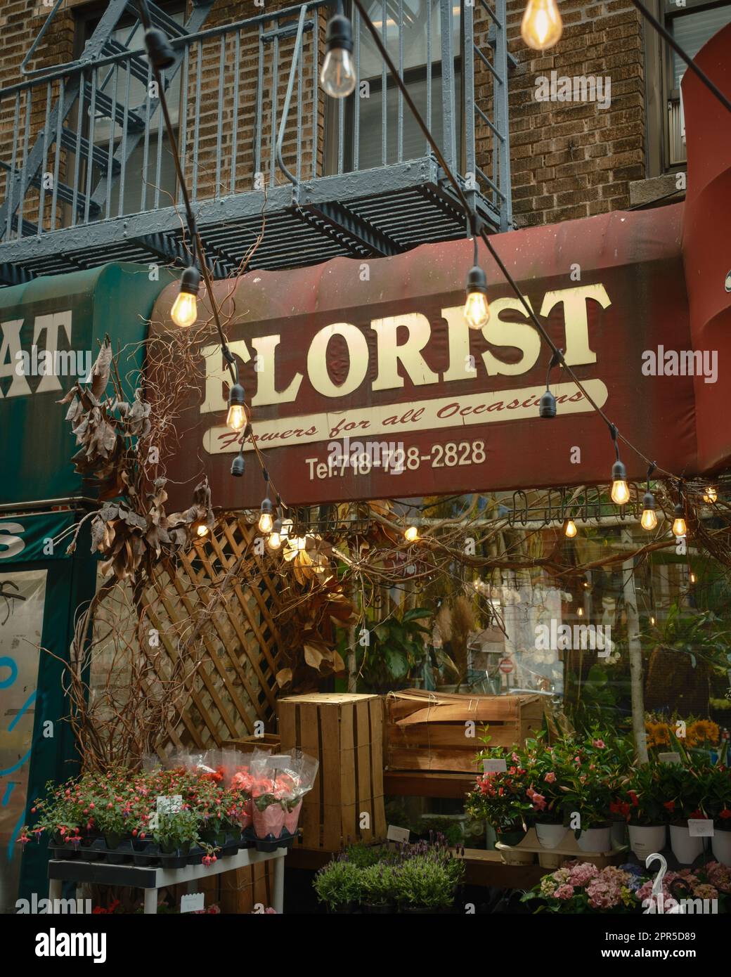 Insegna fiorista ad Astoria, Queens, New York Foto Stock
