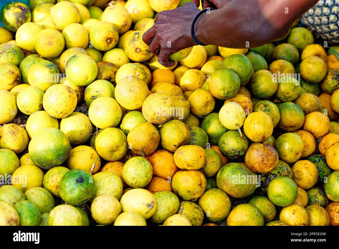 Mano di contadino che raccoglie un arancione giallo, vista dall'alto, Zanzibar, Tanzania Foto Stock