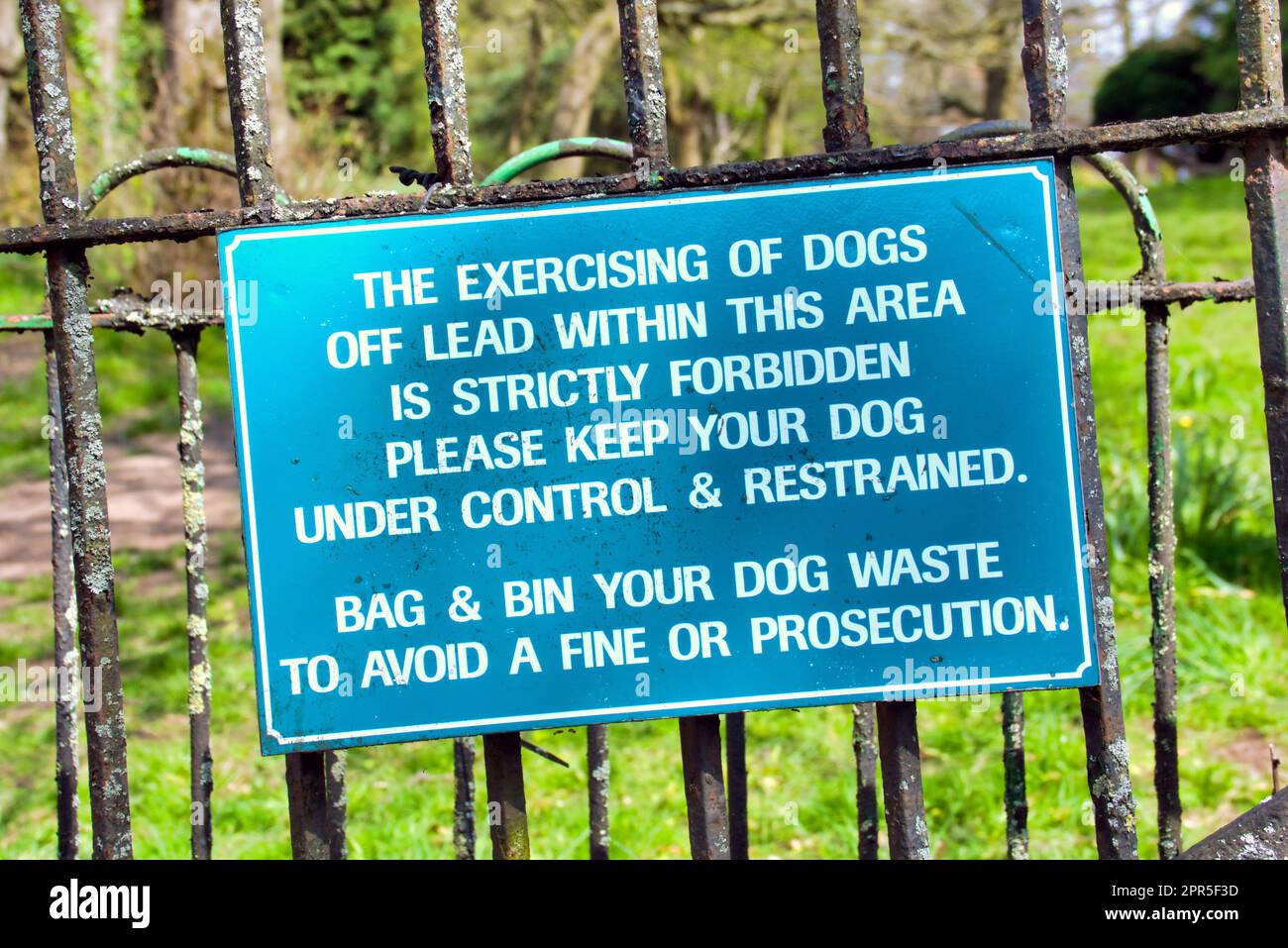 la borsa per i cartelli per cani e il cestino sono tenuti al guinzaglio Foto Stock