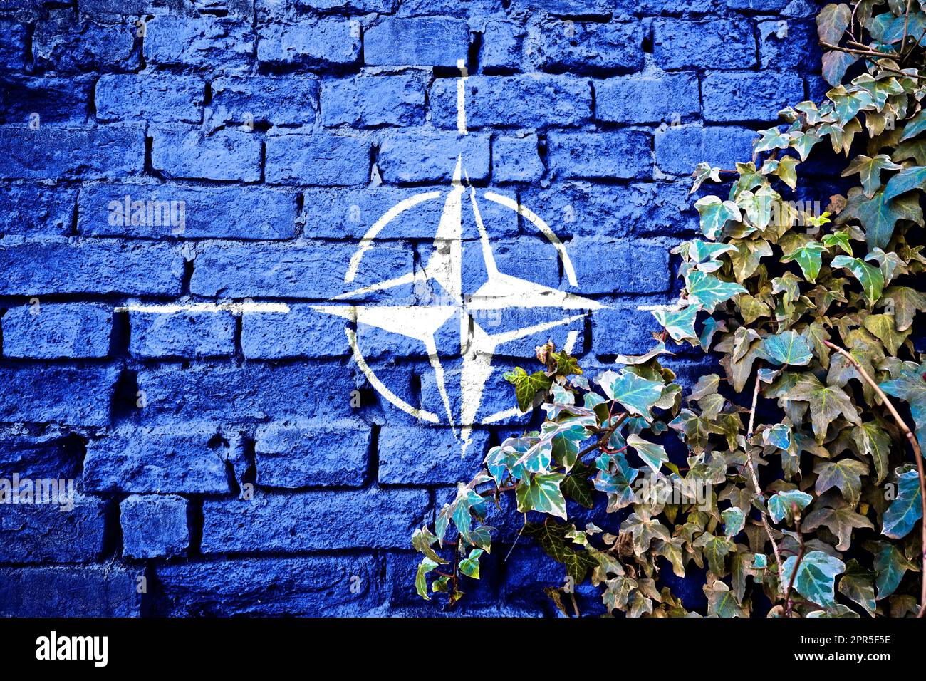 Bandiera grunge NATO su muro di mattoni con edera pianta, paese patto militare simbolo concetto Foto Stock