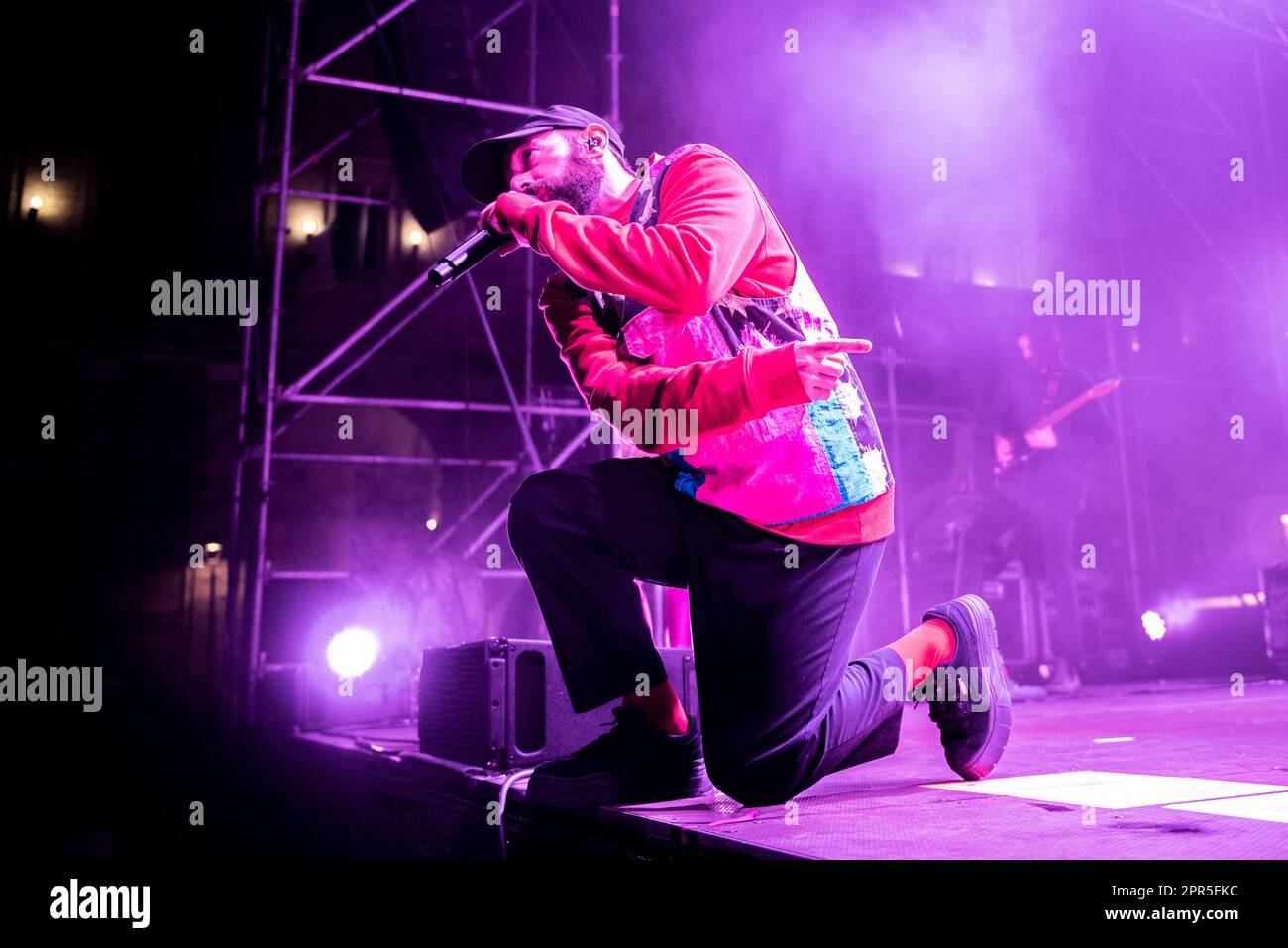 Fausto lama (Coma COSE) Foto Stock