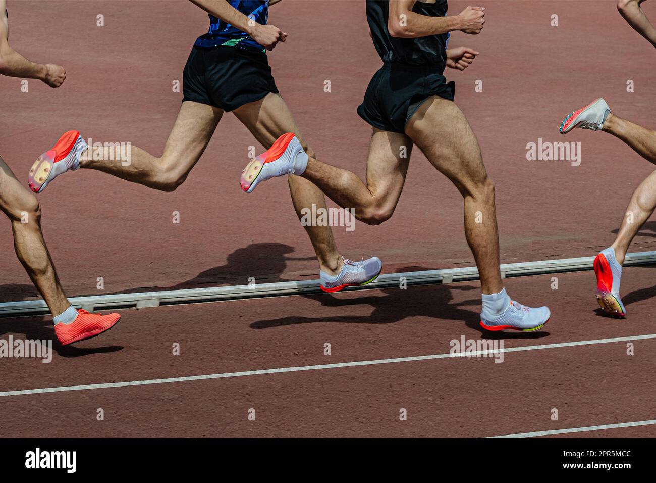 gruppo maschio runner a media distanza corsa in pista stadio nei campionati estivi di atletica Foto Stock