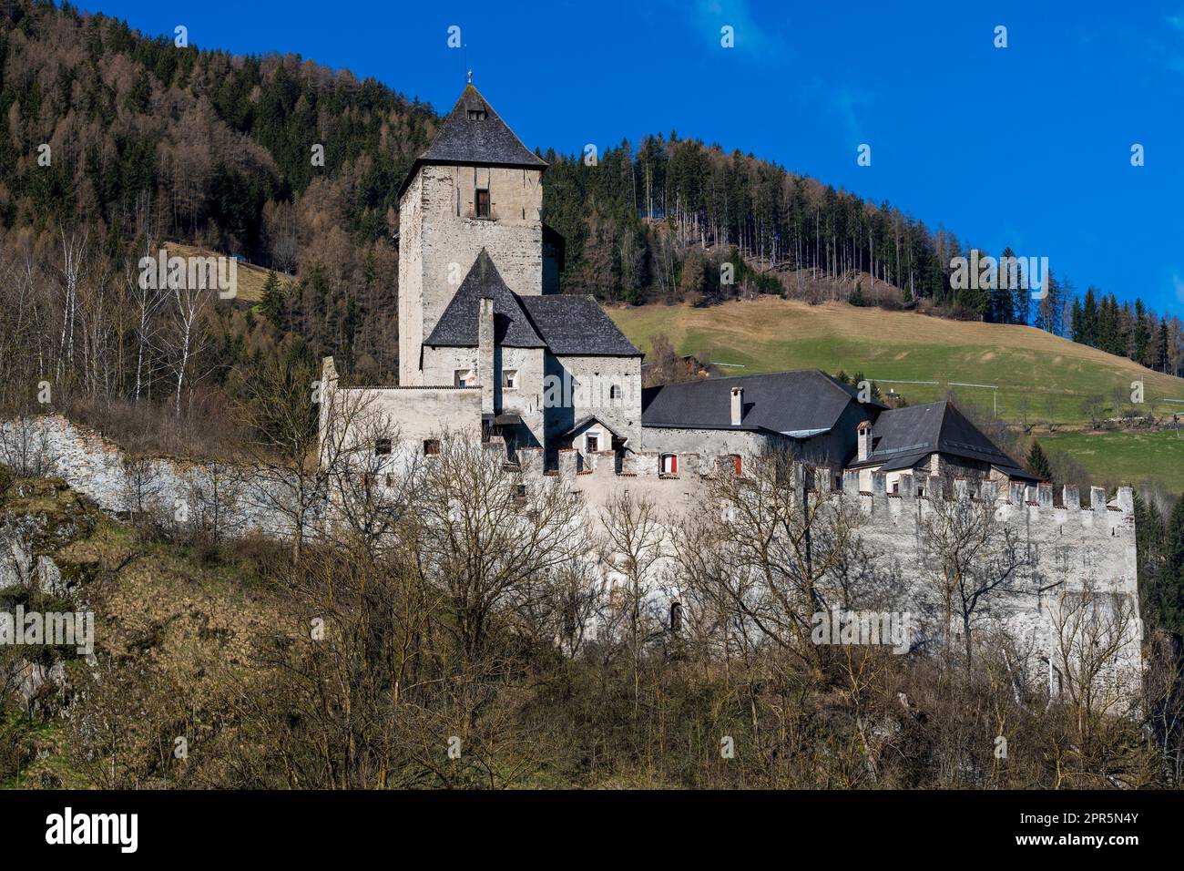 Castello di Reifenstein (Castel tasso), Freienfeld-campo di Trens, Trentino-Alto Adige/Sudtirol, Italia Foto Stock