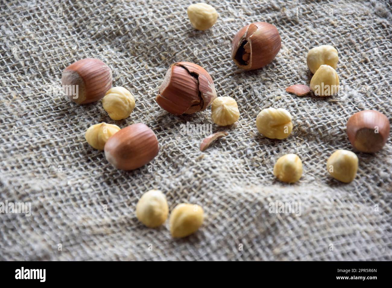 Nocciole e nocciole di filbert mature in una conchiglia su fondo di burlap. Nutrizione sana. Primo piano. Spazio di copia. Profondità di campo bassa. Messa a fuoco selettiva. Foto Stock