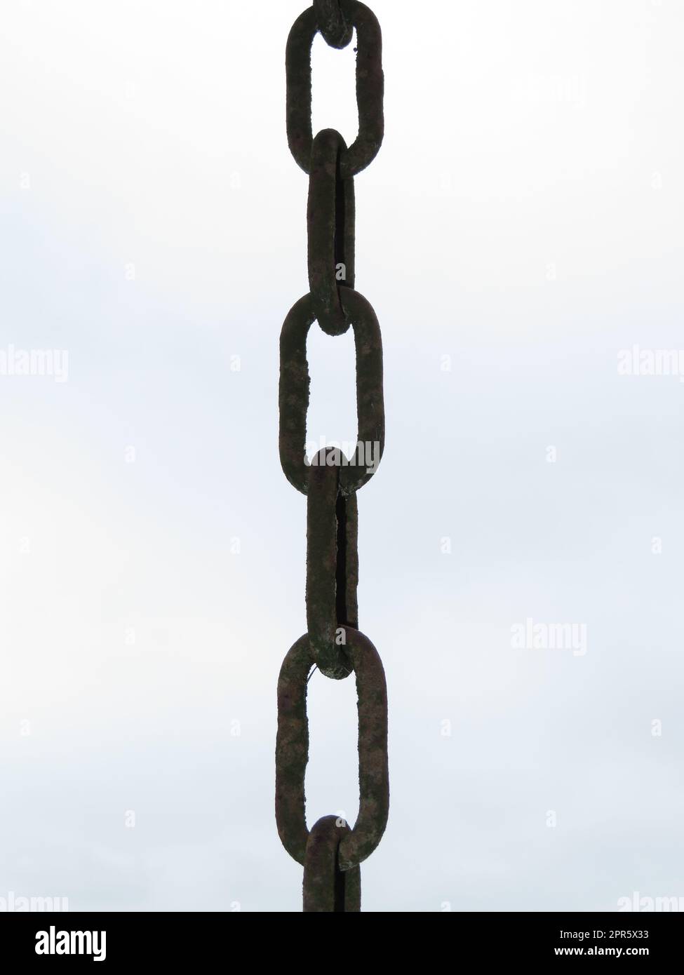 DESIGN - Collana A Catena Spessa In Acciaio Inossidabile Resistente Allacqua Color Argento - Foto 3