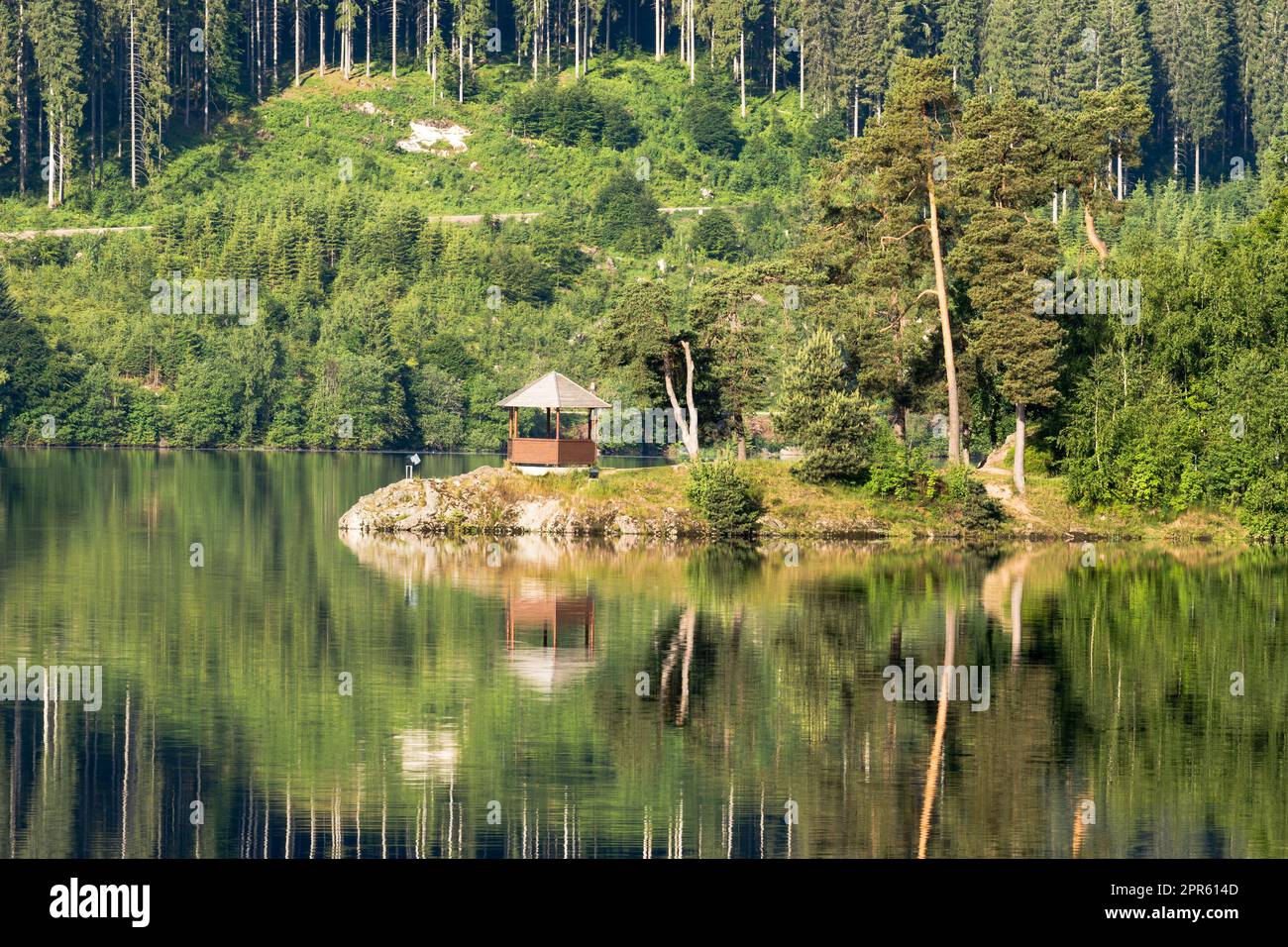 Schluchsee nella Foresta Nera, riflessione dell'acqua, Baden-Wuerttemberg, Germania Foto Stock