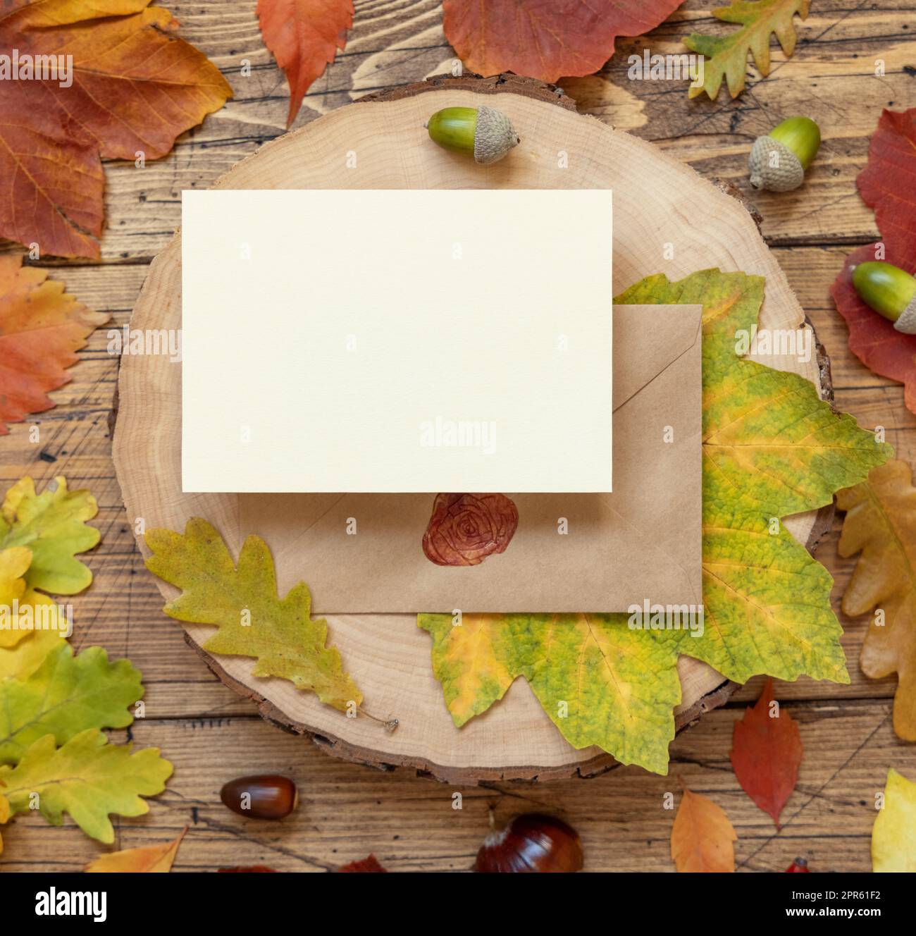 Carta tra le colorate foglie autunnali e le bacche su un tavolo in legno, mockup rustico Foto Stock