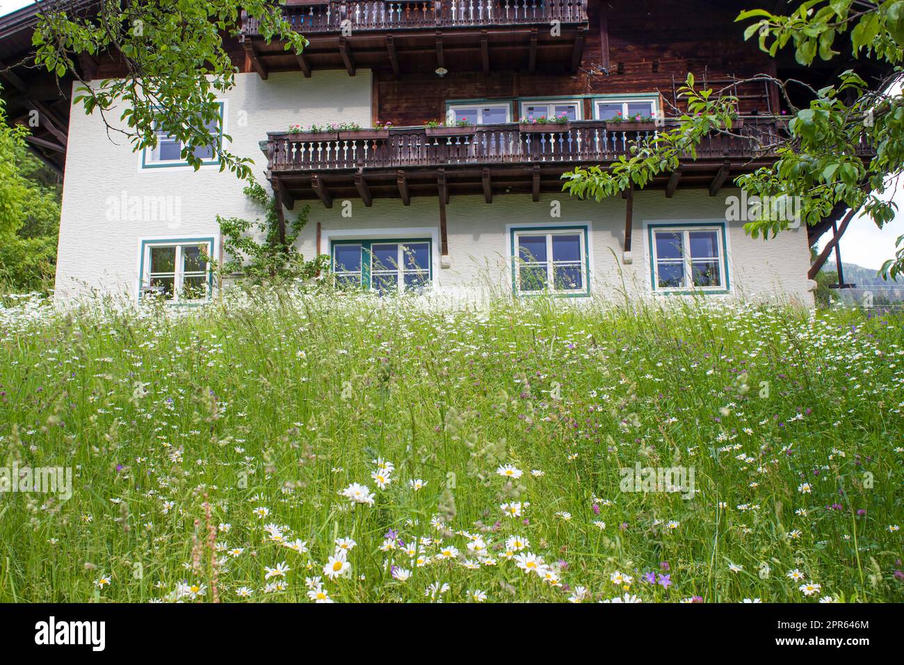 Tradizionale fattoria di montagna austriaca nel villaggio alpino di Doelsach, nel Tirolo orientale, in Austria Foto Stock