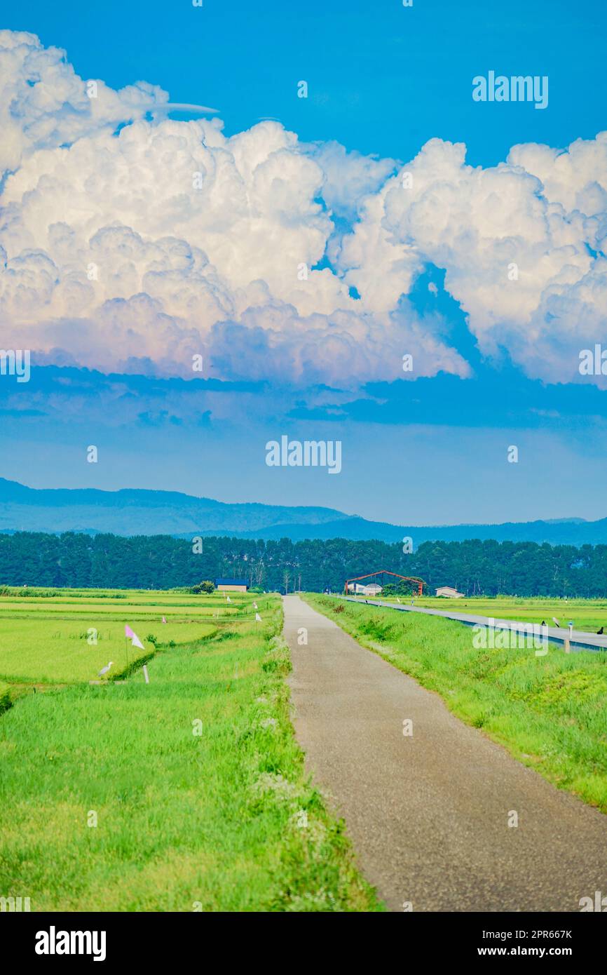 Campagna e cielo estivo (vacanze estive in campagna) Foto Stock