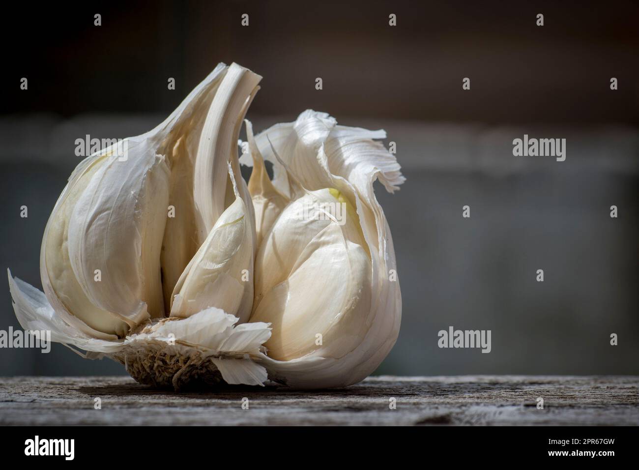 Primo piano di aglio, Allium sativum, utilizzato per l'aromatizzazione alimentare Foto Stock