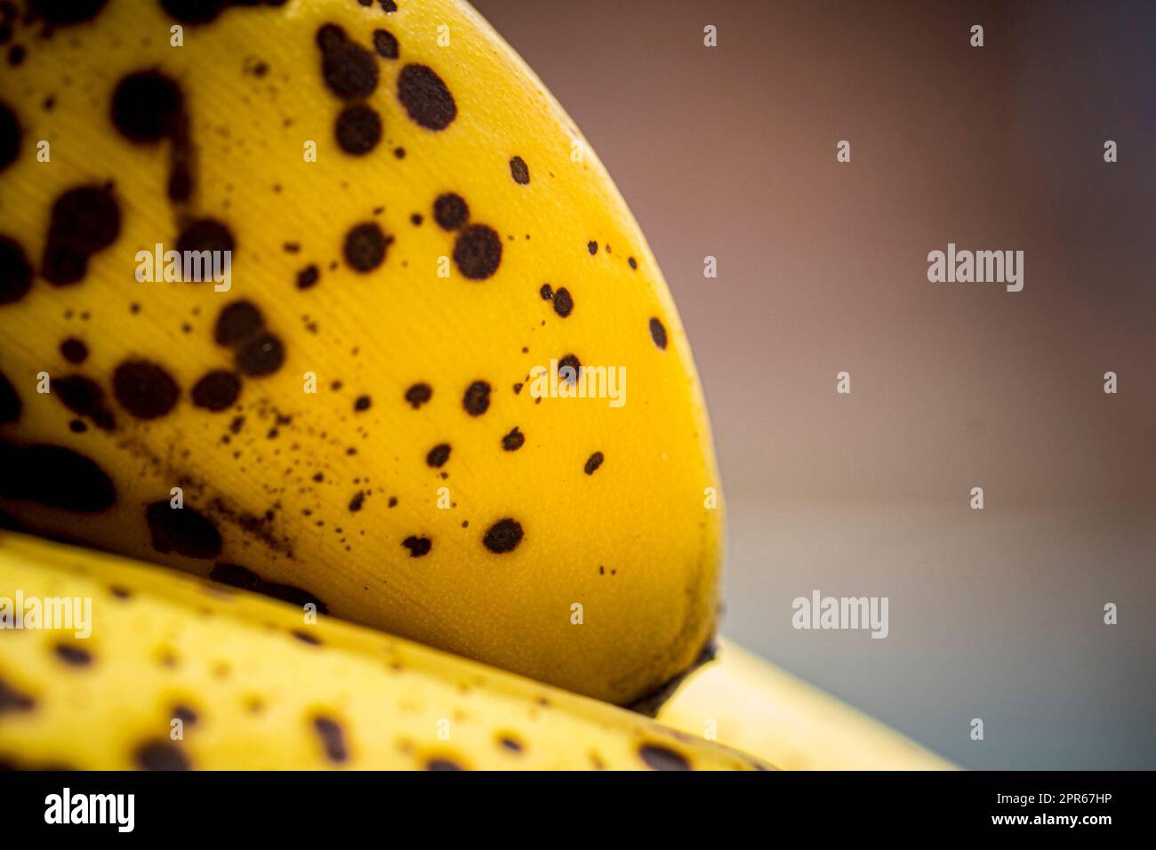 Primo piano di maturazione delle banane con macchie, sapore dolce, perfetto per le bevande del frullatore e la cottura Foto Stock