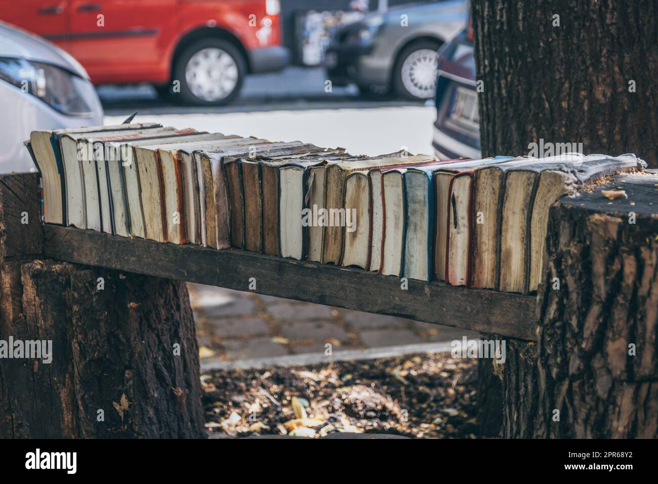 Panca in legno in città coperta da vecchi libri schiacciati Foto Stock