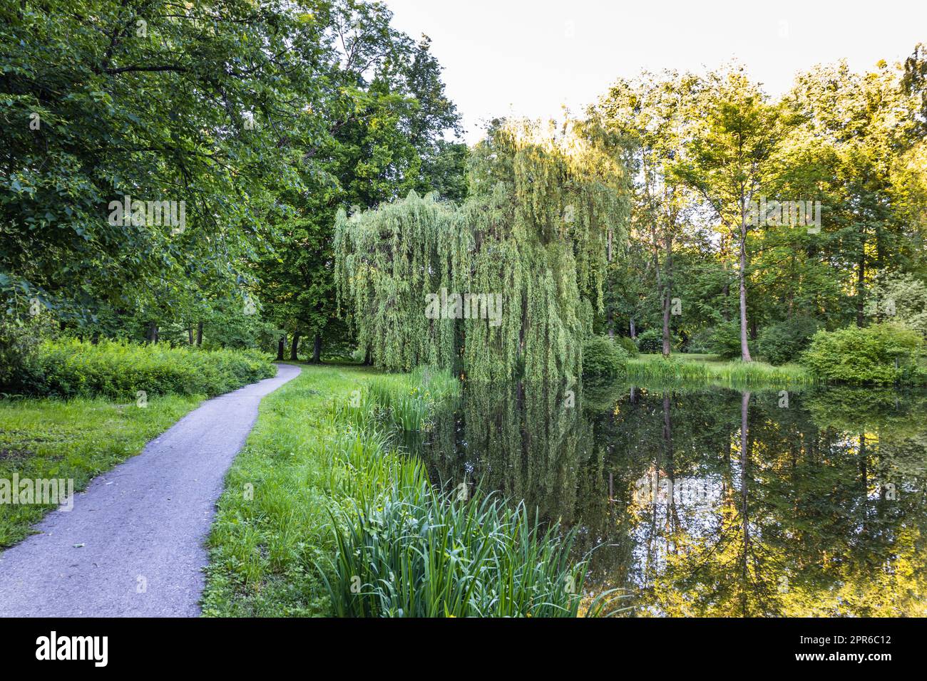 Parco in un luogo tranquillo per riposare con un laghetto. Estate in città Foto Stock