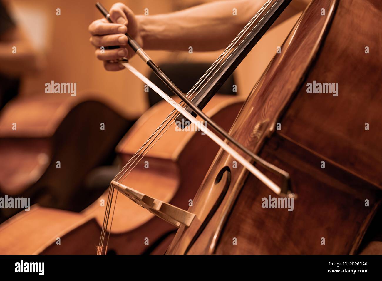 dettaglio del violoncello in esecuzione durante il concerto Foto Stock