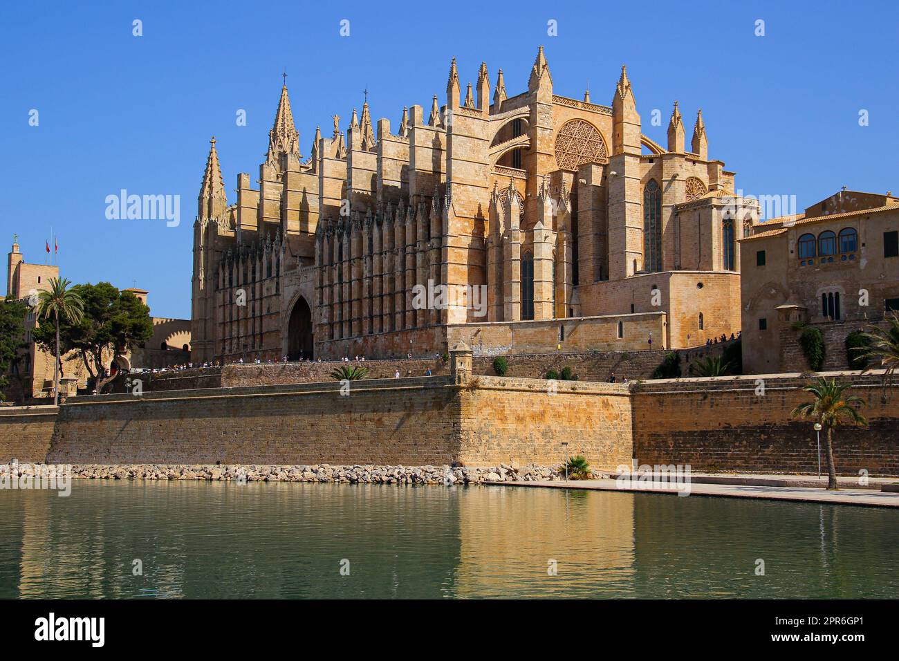 La Seu, la Cattedrale di Santa Maria di Palma di Maiorca nelle Isole Baleari (Spagna) è una cattedrale gotica medievale costruita accanto al Mediterraneo Foto Stock