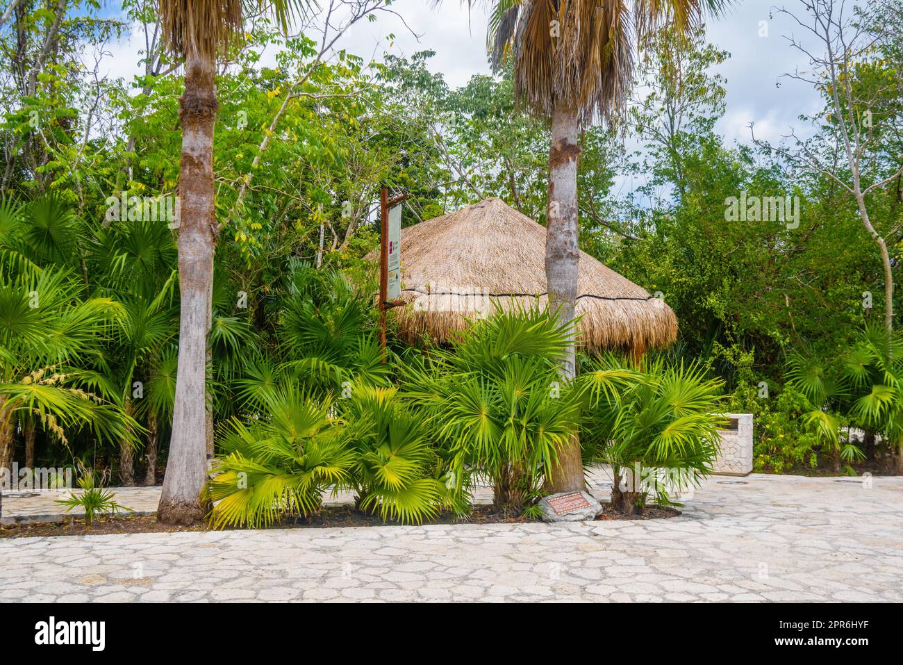 Palme e bungalow a Playa del Carmen, Yu atan, Messico Foto Stock