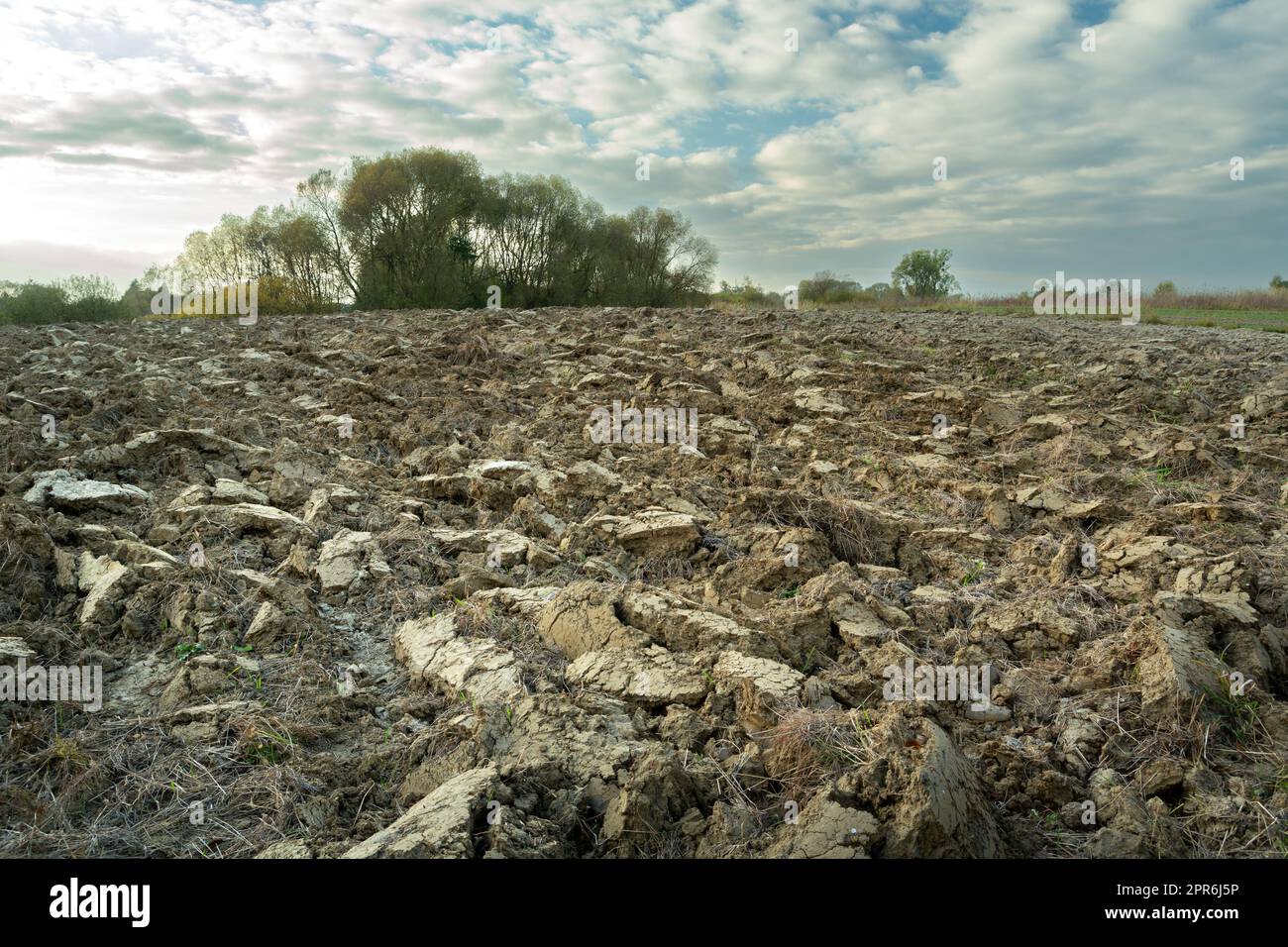 Terreno arato nel campo e nel cielo serale Foto Stock