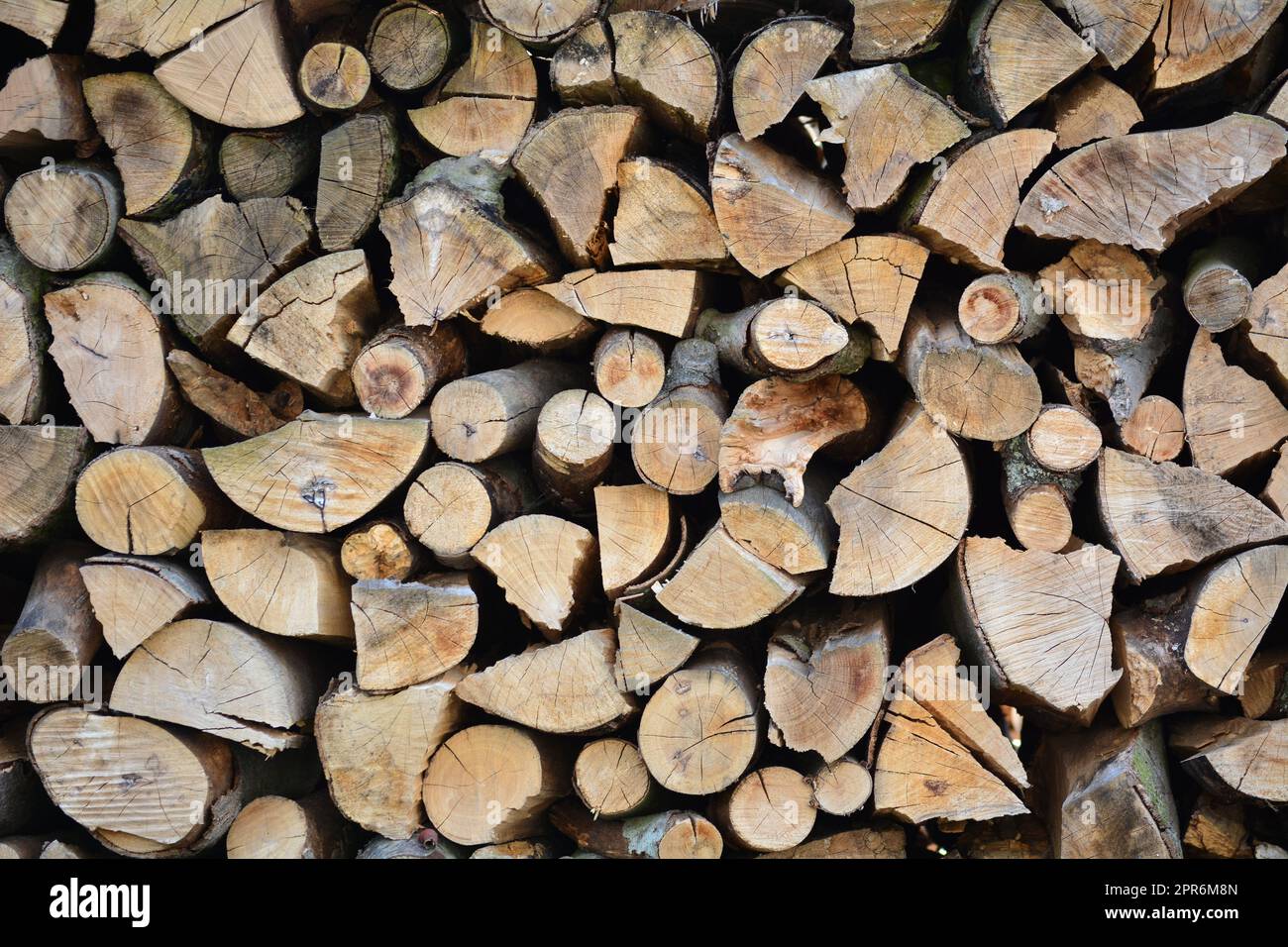 Pila di legno di legna da ardere spaccato Foto Stock